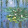 Water Lily Claude Monet Paint By Number