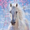 White Horse With Flowers Paint By Number
