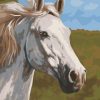 White Thoroughbred Paint By Number