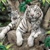 White Tiger Family Paint By Number