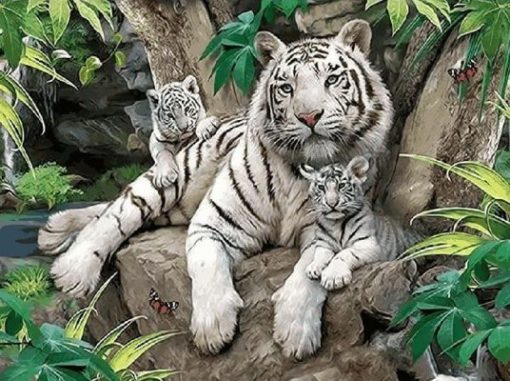 White Tiger Family Paint By Number