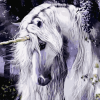 White Unicorn Horse Paint By Number