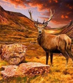 Wild Deer Paint By Number