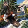 Wild Eagles Paint By Number