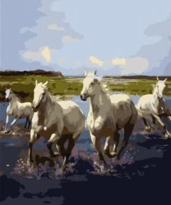 Wild White Horses Paint By Number