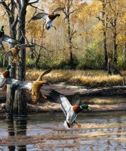 Wild ducks Paint By Number