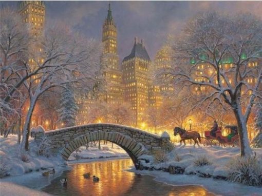 Winter Scenery In New York Paint By Number