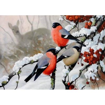 Winter Birds Paint By Numbers