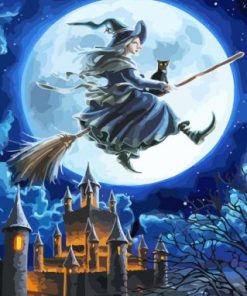 Witch Is Flying In The Moon Paint By Number