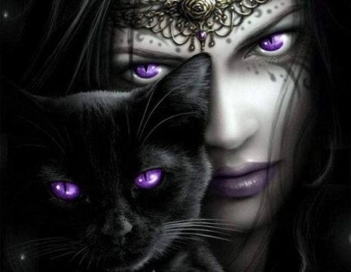 Witch With A Black Cat Paint By Number