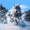 Wolf Pack In Snow Paint By Number