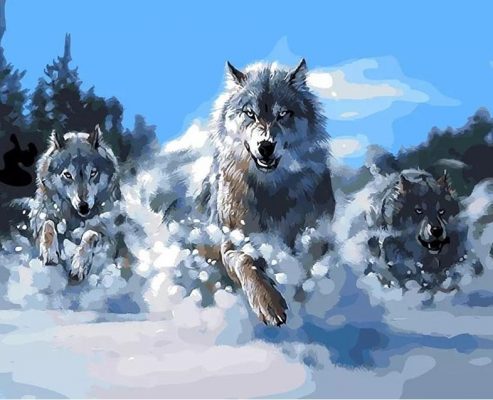 Wolf Pack In Snow Paint By Number