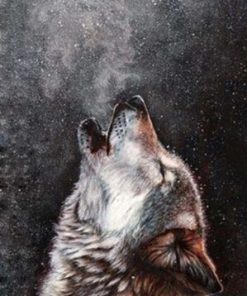 Wolf Spirit Paint By Number