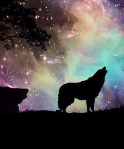 Wolf With Northern Lights Paint By Number