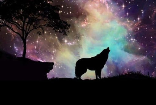 Wolf With Northern Lights Paint By Number