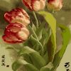 Tulip Flowers Paint By Number