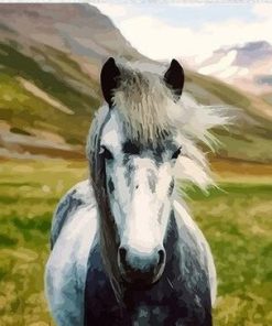 Wild Horse Paint By Numbers