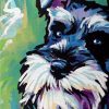 Schnauzer Paint By Number