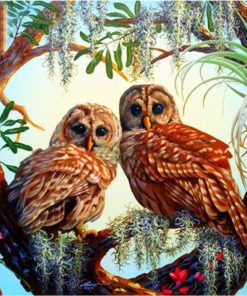 Owls Birds Paint By Number
