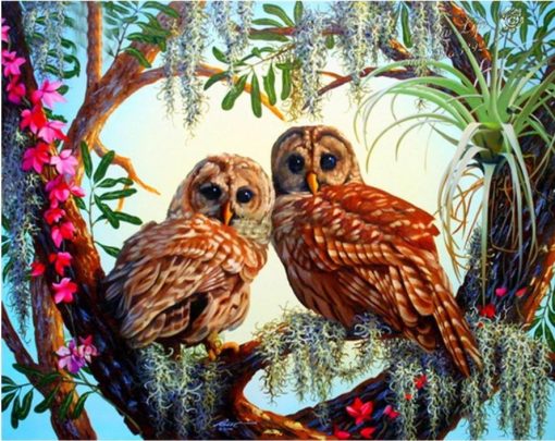 Owls Birds Paint By Number