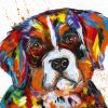 Bernese Mountain Dog Paint By Number