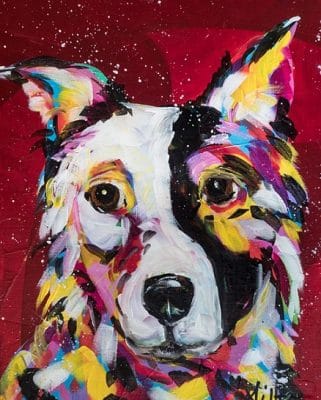 Border Collie Dog Paint By Number