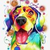 Colorful Retriever Dog Paint By Number