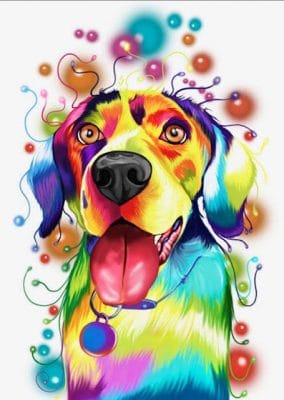 Colorful Retriever Dog Paint By Number