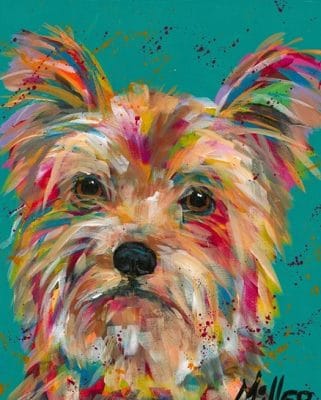 Colorful Yorkie Dog Paint By Number