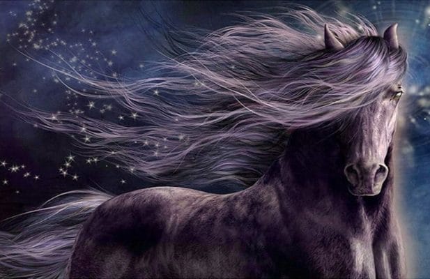 Dreamy Horse Paint By Number