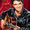 Elvis Presley With Guitar Paint By Number