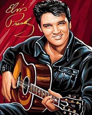 Elvis Presley With Guitar Paint By Number