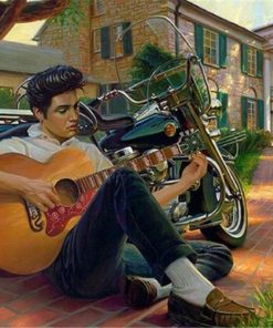 Elvis Presley In Graceland Paint By Number