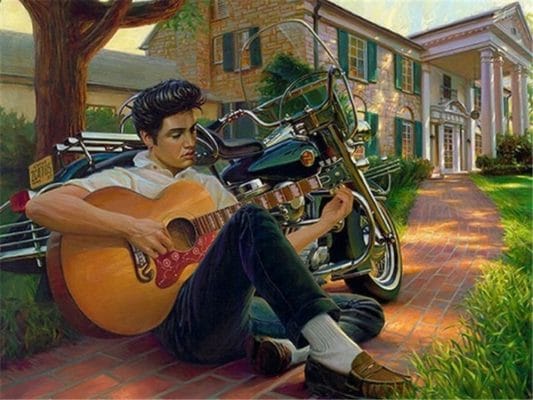 Elvis Presley In Graceland Paint By Numbers