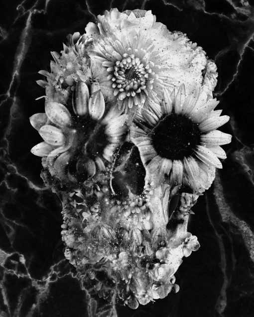 Floral Skull Marble Paint By Number