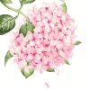Gorgeous Pink Flowers Paint By Number