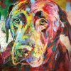 Colorful Labrador Paint By Number