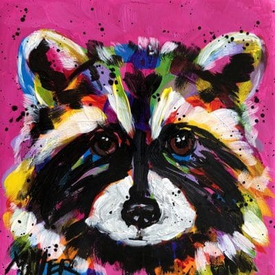 Colorful Raccoons Paint By Number