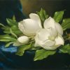White Magnolias Paint By Number