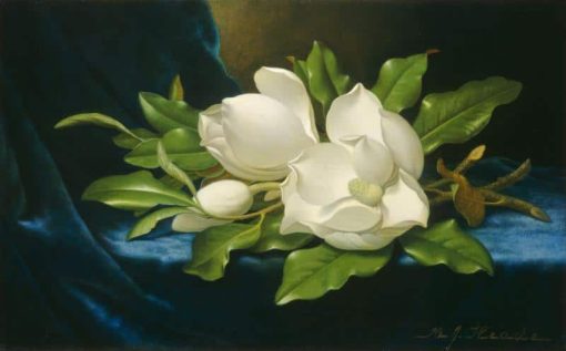 White Magnolias Paint By Number