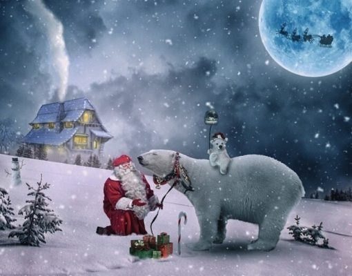 Polar Bears And Santa Claus Paint By Number