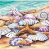 Seashells On The Beach Paint By Number