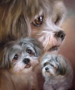 Shih Tzu Dogs Paint By Number