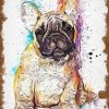 Splatter French Bulldog Paint By Number