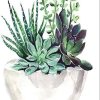 Succulent Pot Paint By Number