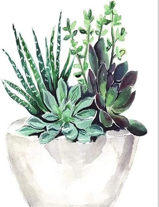 Succulent Pot Paint By Number