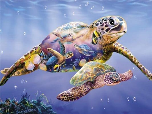 Underwater Sea Turtle Paint By Numbers