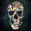Vintage Skull Paint By Number