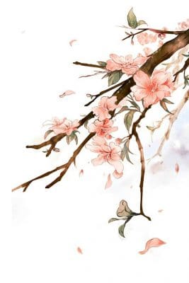 Watercolor Cherry Blossom Paint By Number