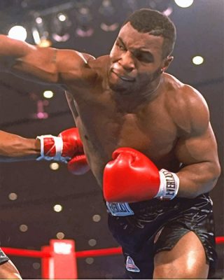 Mike Tyson Paint By Number